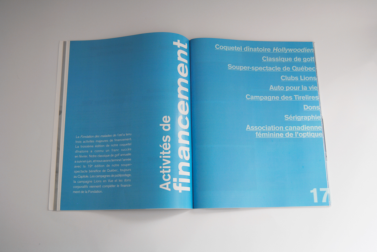 print annual report eye foundation blue UNDERLINE White