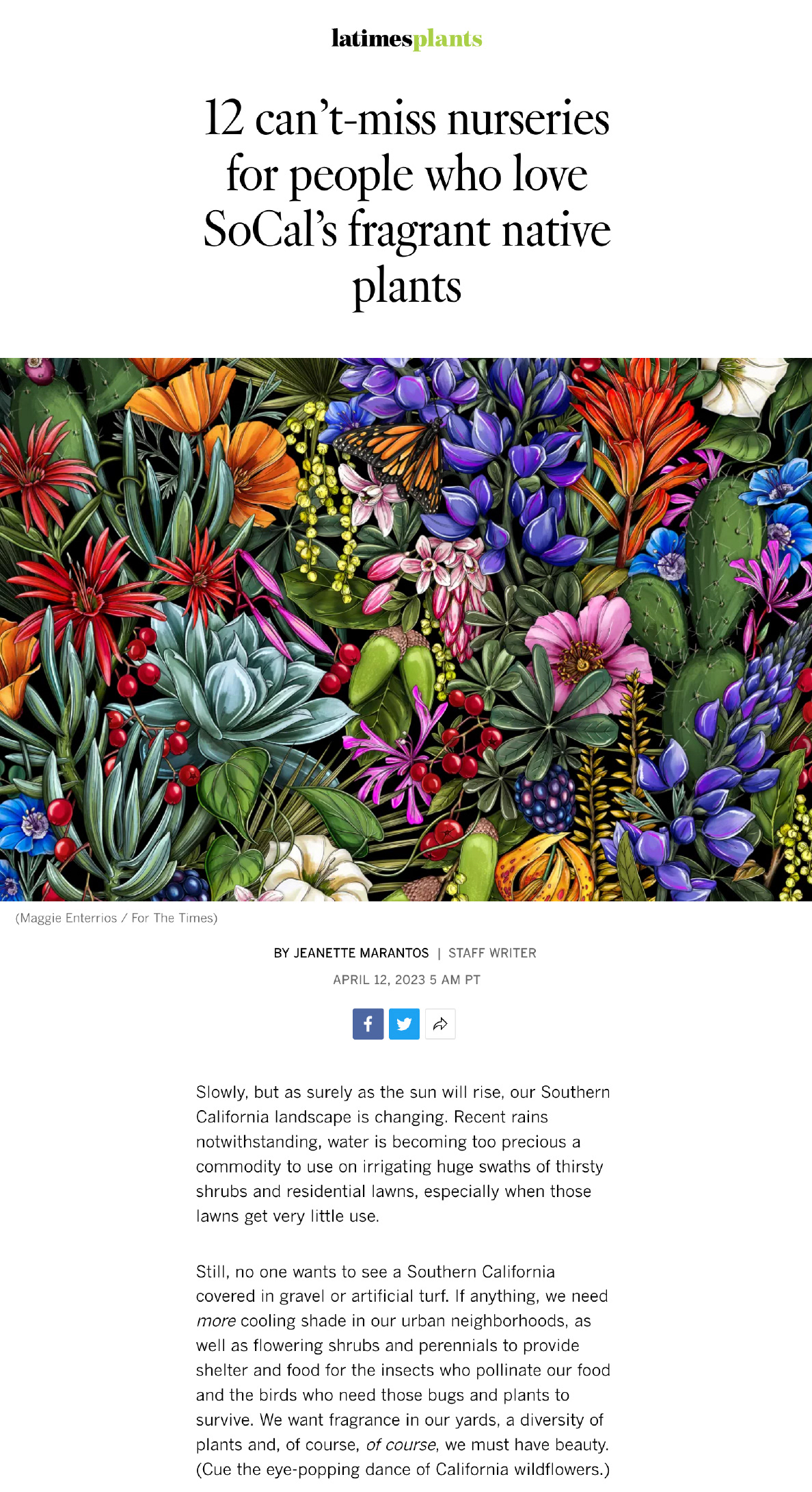 Botanical illustration by Maggie Enterrios for the LA Times featuring California native plants
