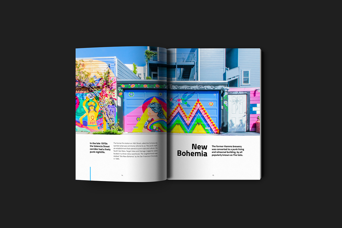 Adobe Portfolio san francisco Murals Street Art  Photography  reportage magazine mission California editorial design