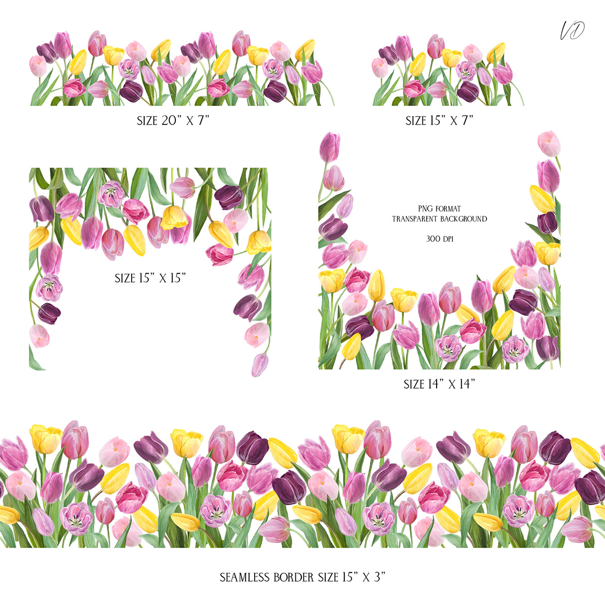 digital illustration Drawing  floral Flowers frame Hand Painted pattern seamless spring tulip