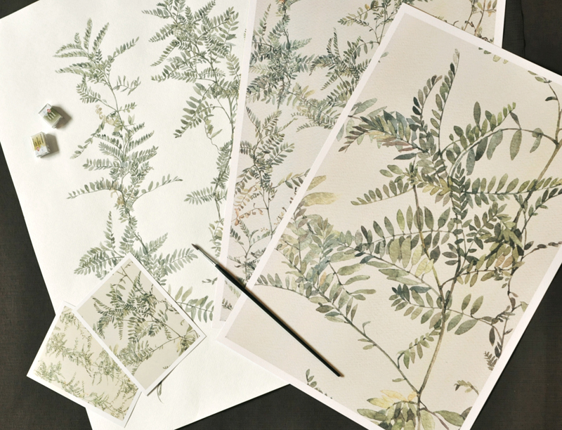 pattern watercolor Drawing  textile wallcovering wallpaper ILLUSTRATION  pattern design  textile design  botanical