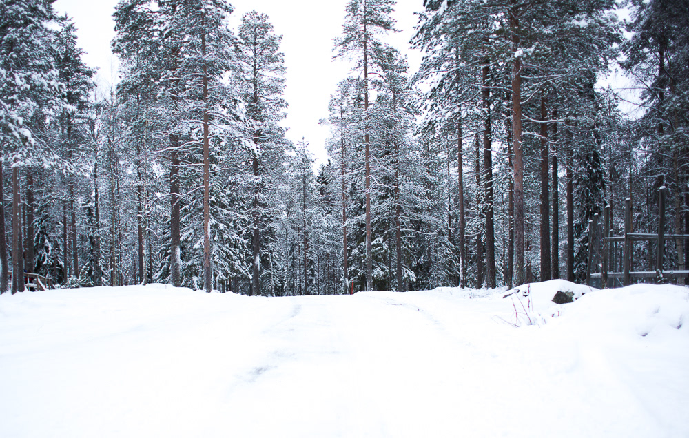 rovaniemi Lapland finland Christmas