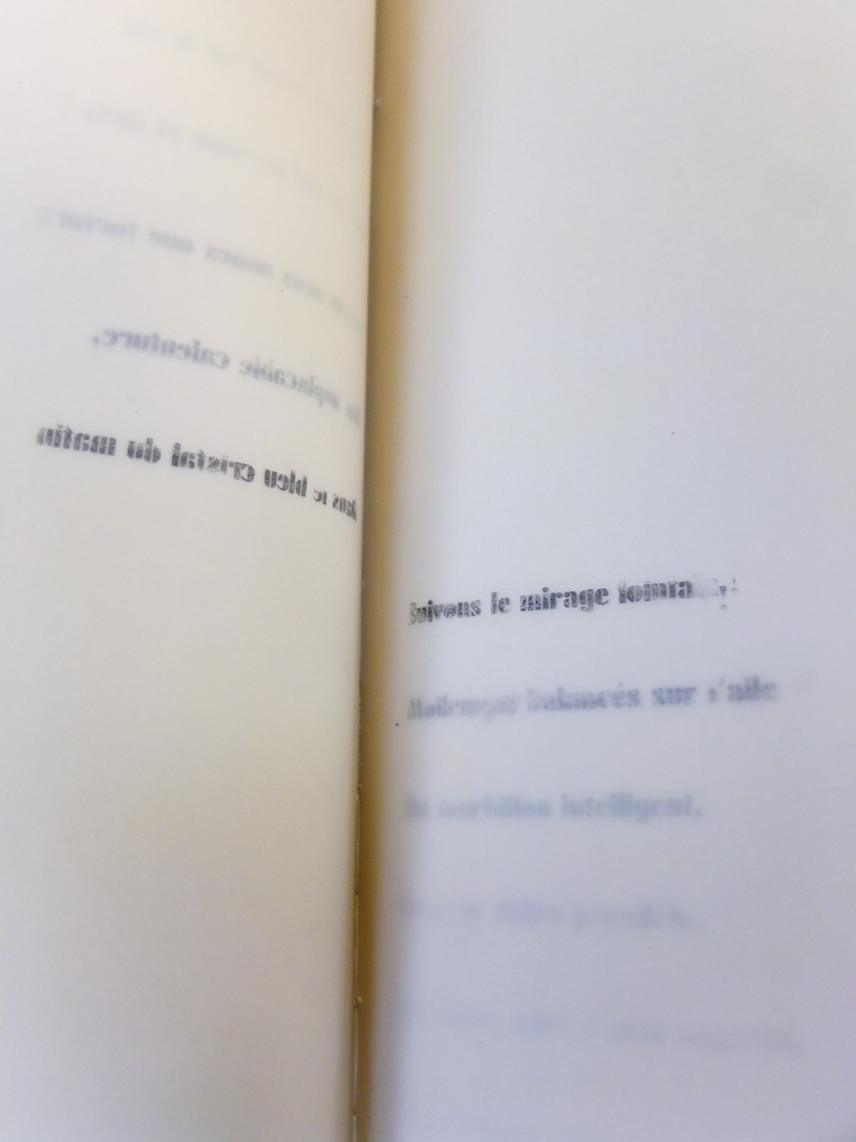 poésie poème livre edition calque Baudelaire reliure noir bleu