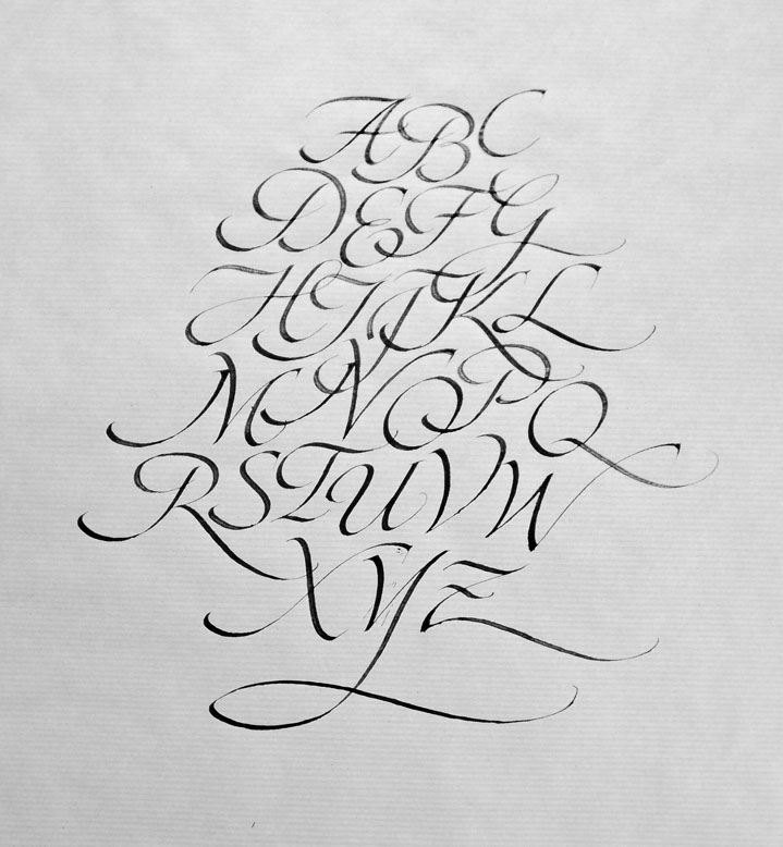 humanist cursive alphabet broad nib flourish swing ink graphic letter design italic lettering italic