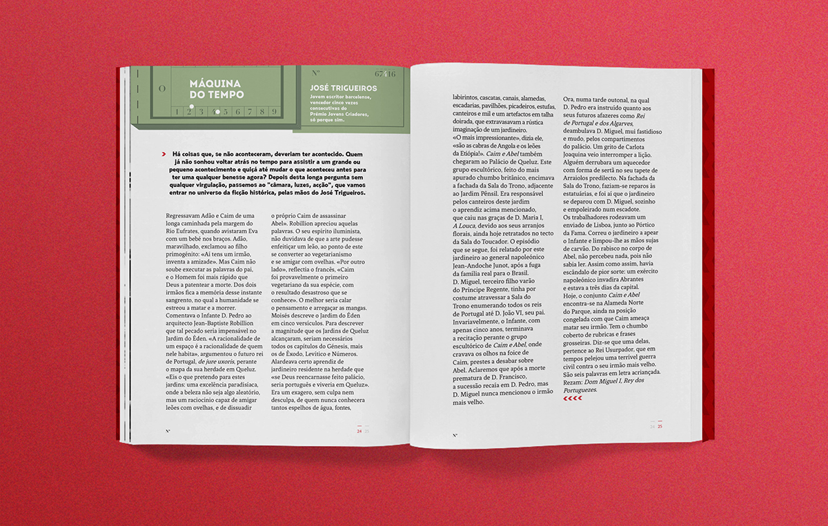 Adobe Portfolio gerador magazine suburbs book red design Layout Rui canedo editorial type culture concept portuguese