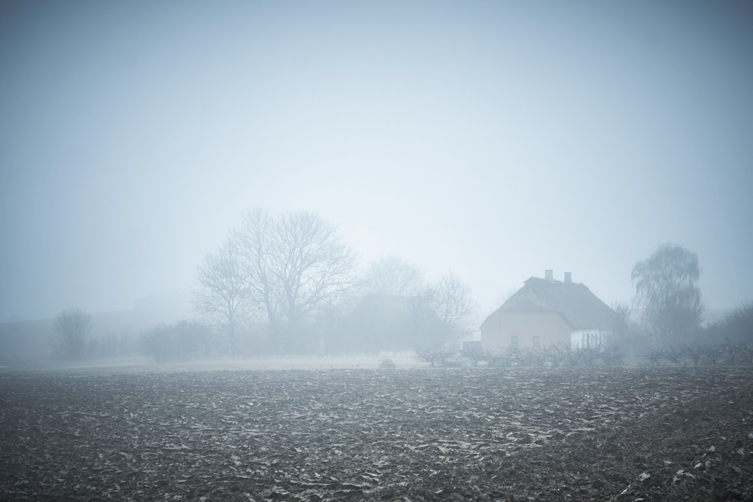 Nature fog denmark rural are Landscape