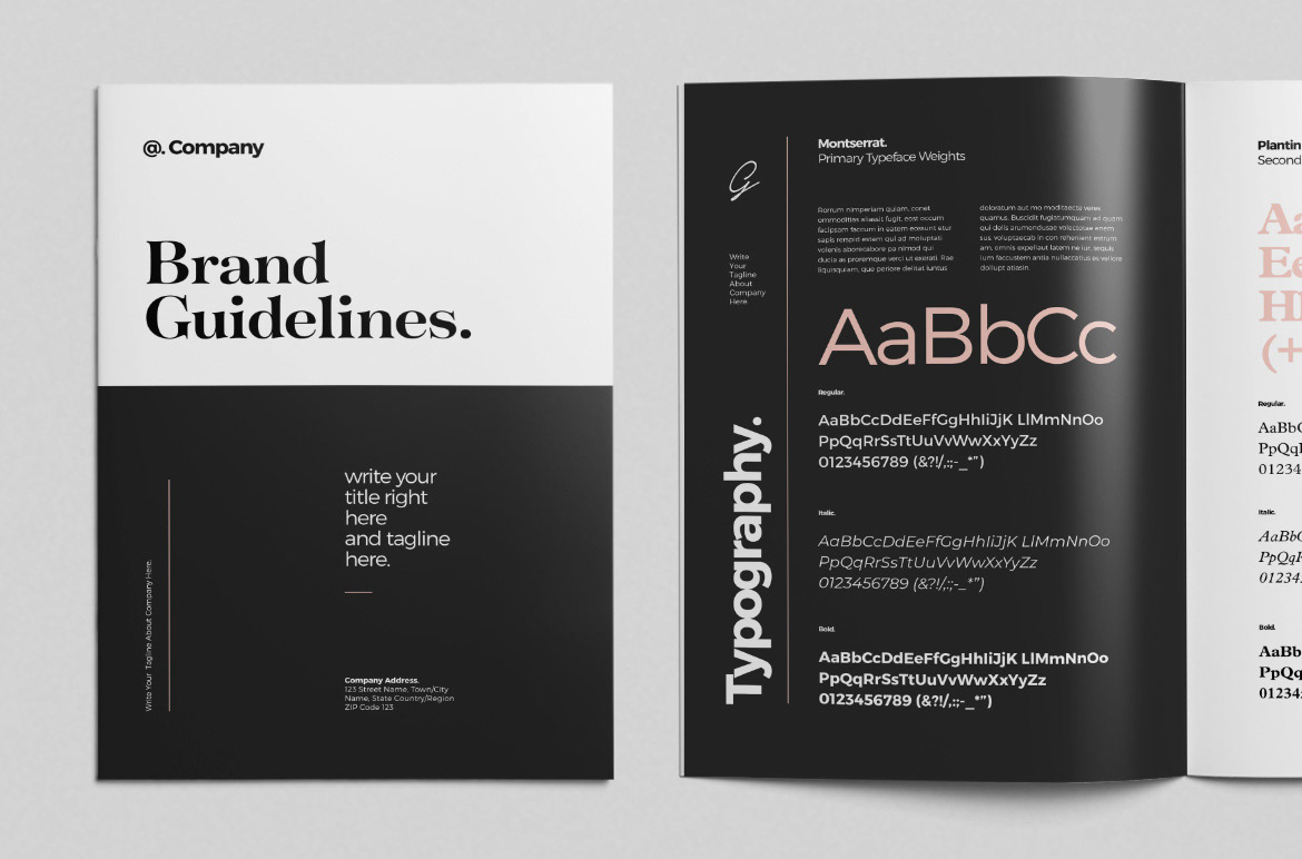 brand branding  colors design graphic guideline logo typography  