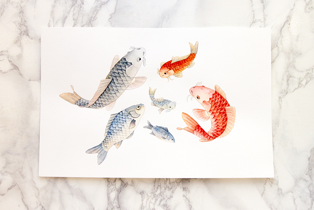 fish carp salad Food  editorial baked fried cook watercolor ink