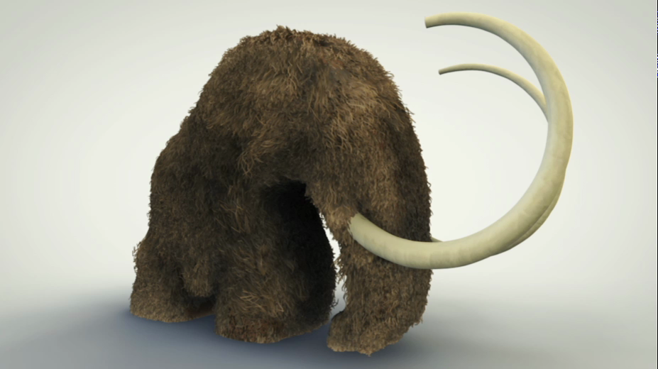mammoth mamut cinema 4d Ae chininho 3D Guadalajara simple sleek animal desing graphics motion