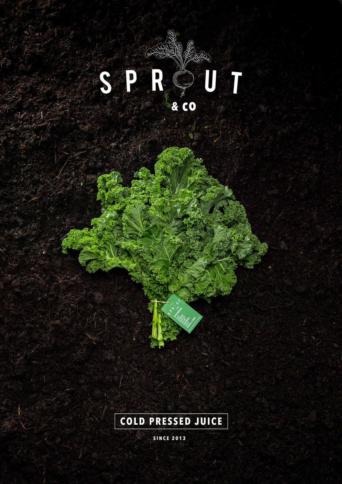 advertisi Cold Pressed Juice farm to fridge branding  graphic design  Logo Design packaging design poster typography  