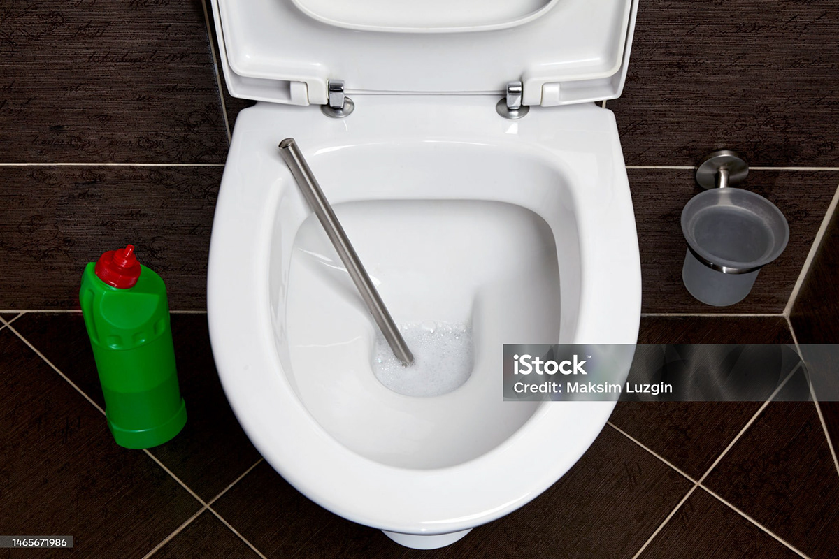 bathroom toilet cleaning odor