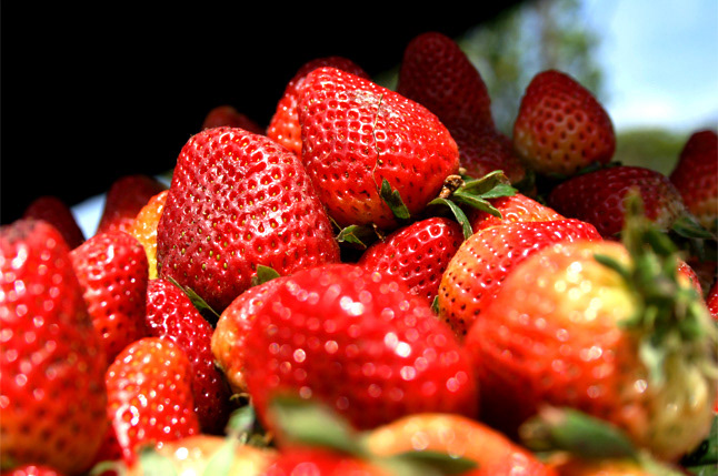 roko arraez  Fotografia  frutas
