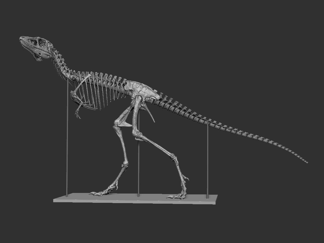 Dinosaur skeleton skull animal creature 3d sculpting 3d printing