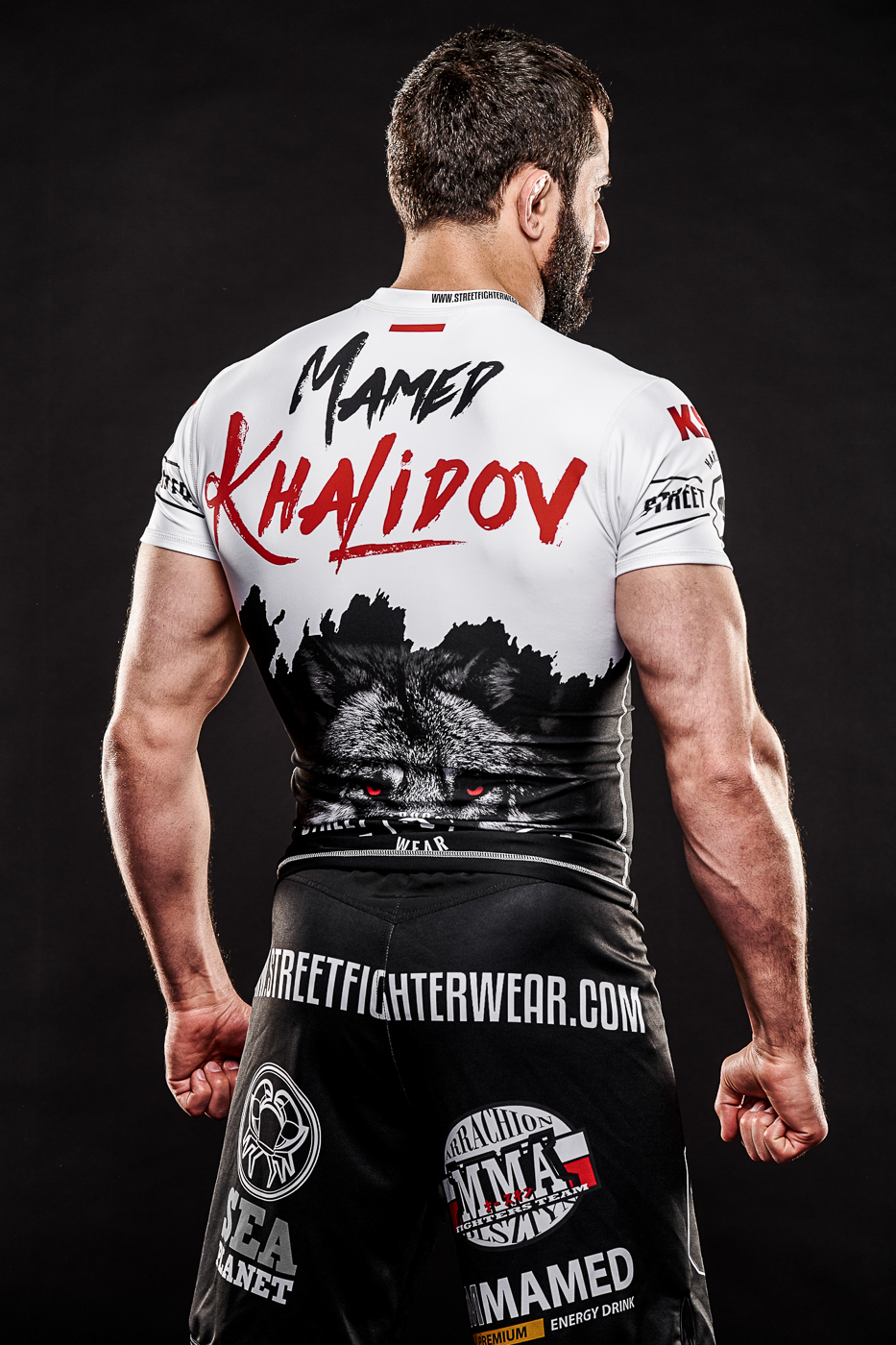 MMA mma fighter Mammed Kahalidov STREET FIGHTER Berkut arrachion ksw ACB