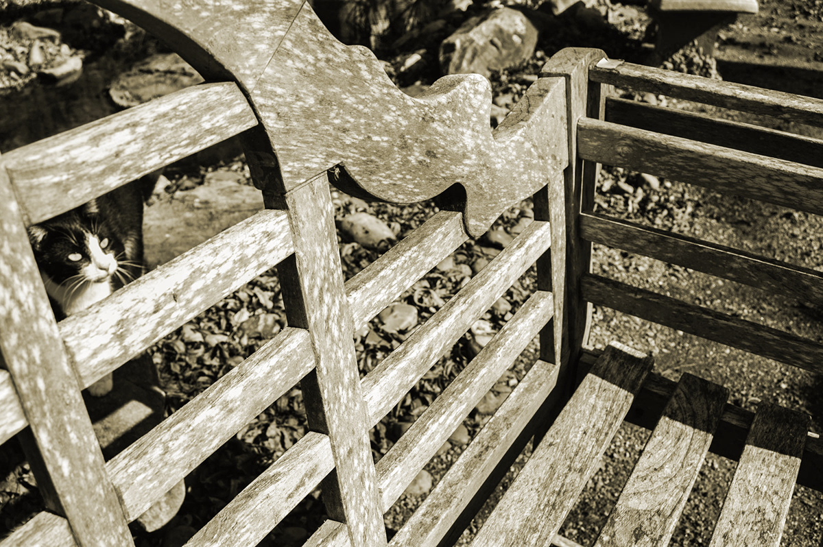 #bw photography #benches
