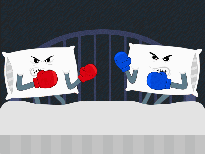 2D // Pillow Fight on Behance