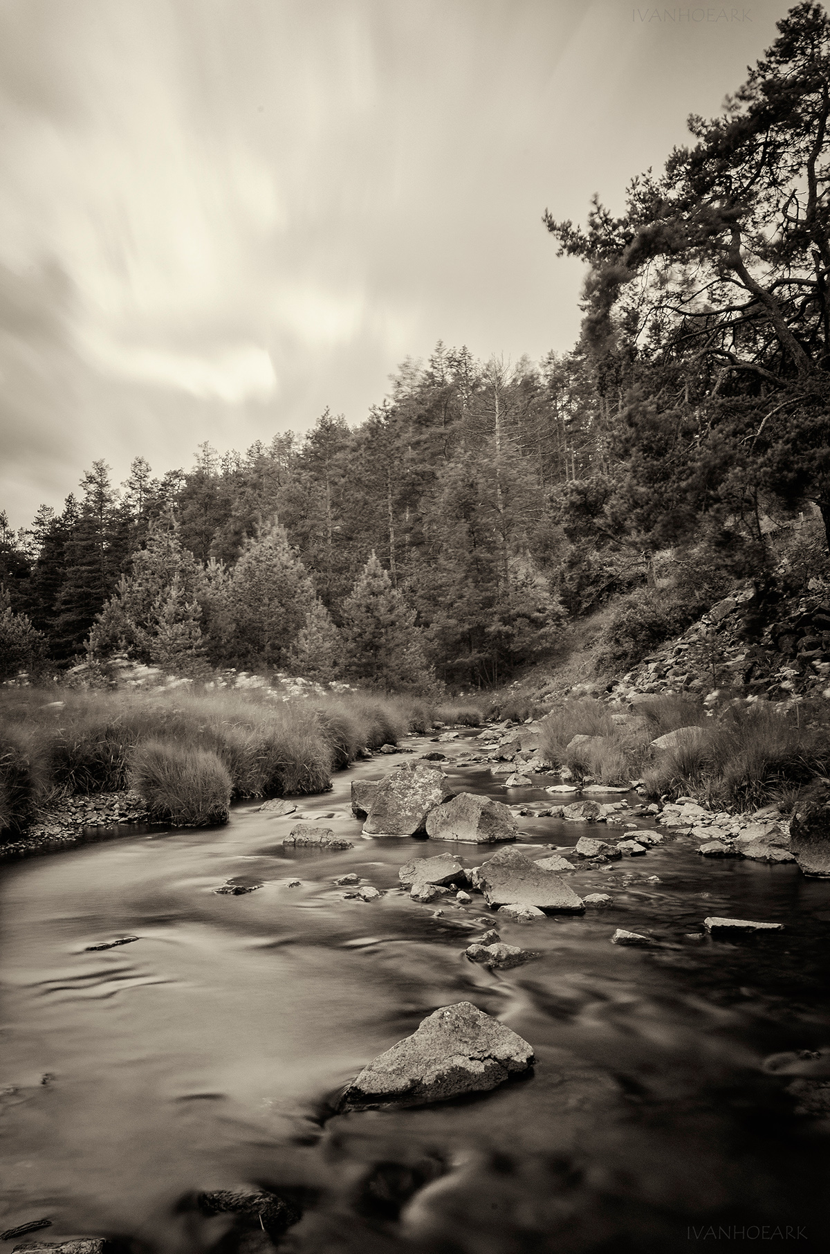 photo digital black and white Landscape river trees