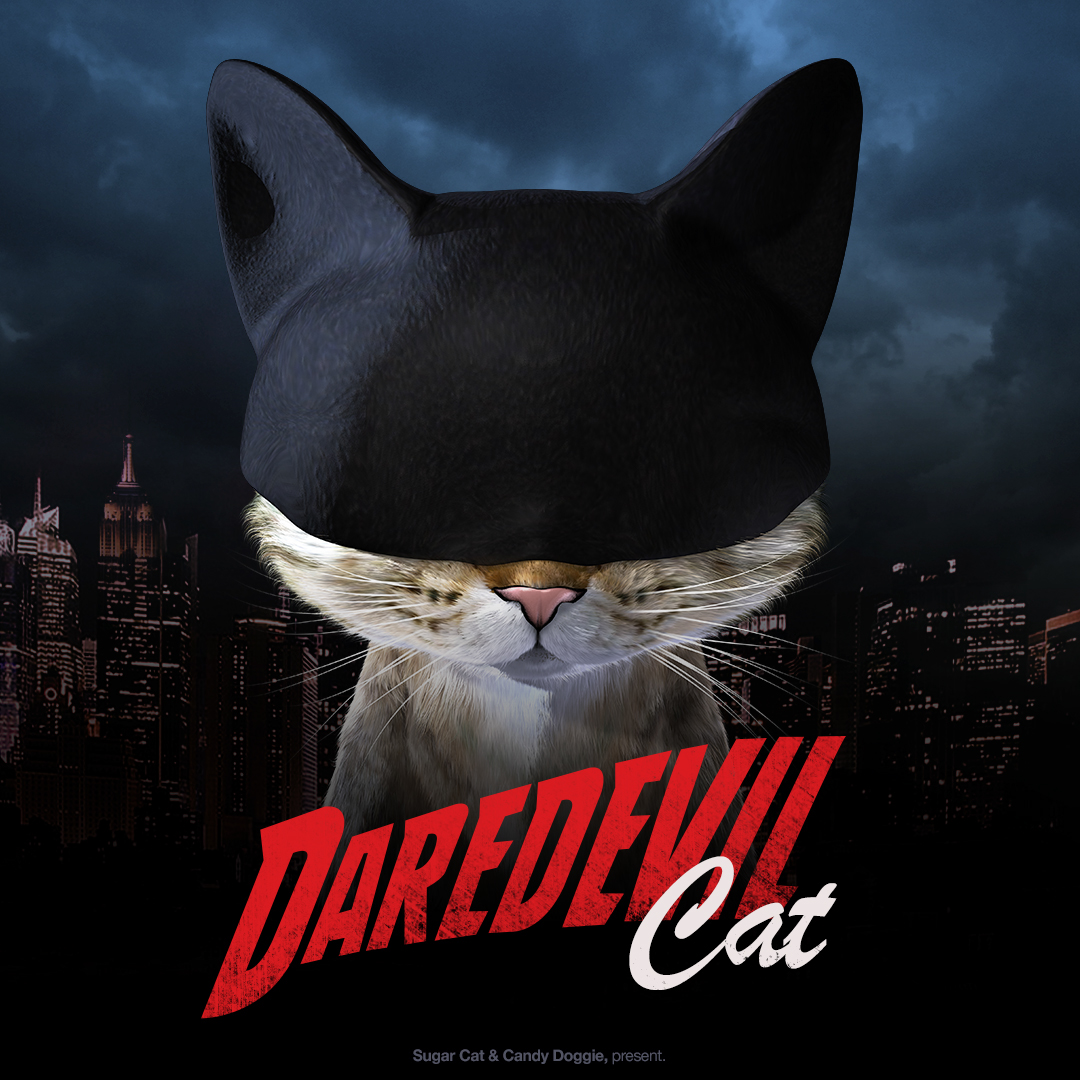 Daredevil Daredevil Cat Cat mask blind oskar Daredevilseason2‬ Fan Art