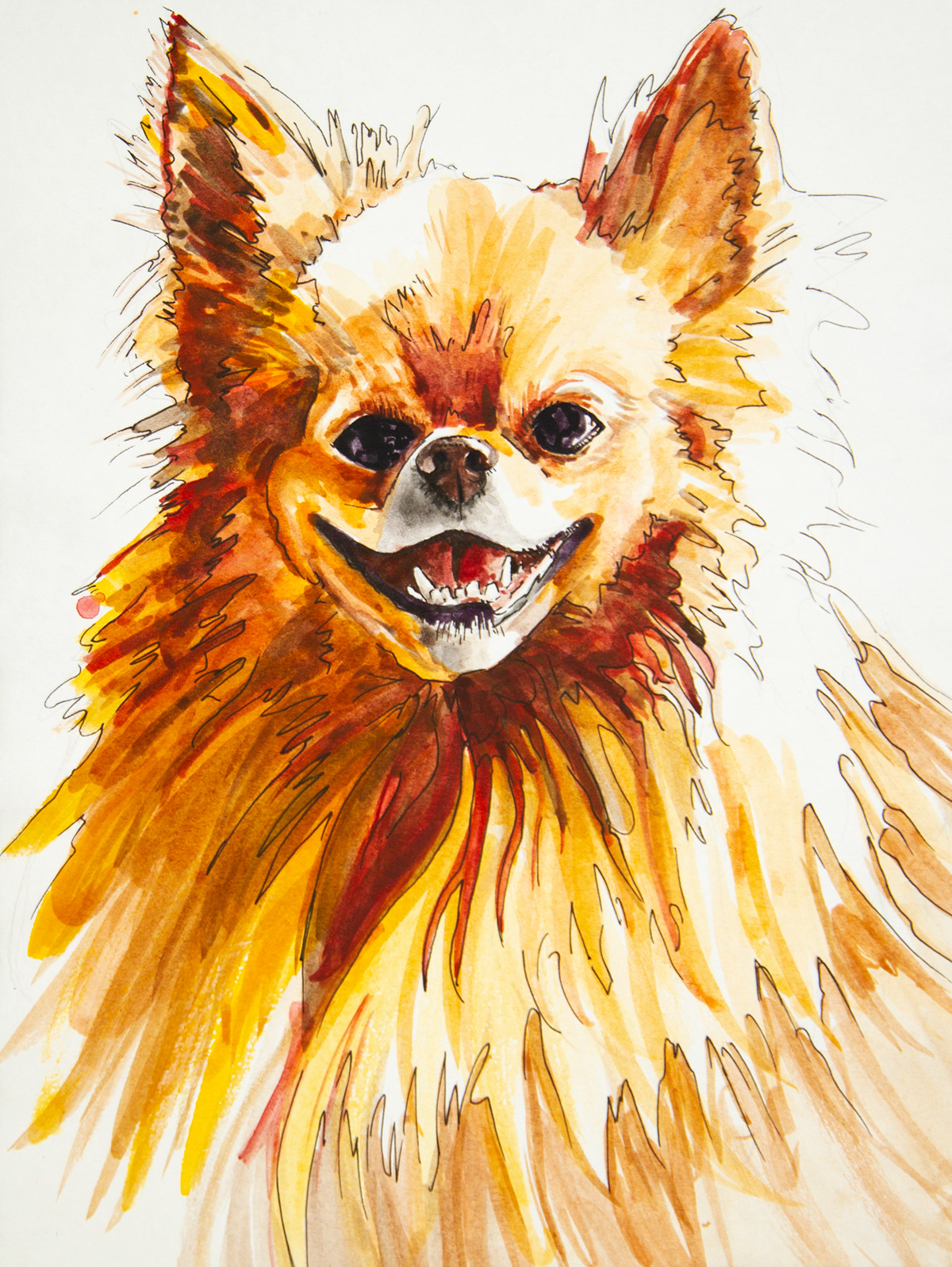 watercolor pets dogs cats commission