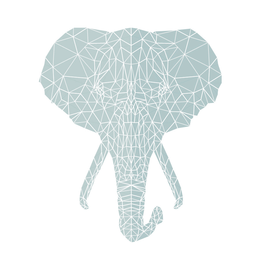 vector Triangles dinhovysk wild elephant