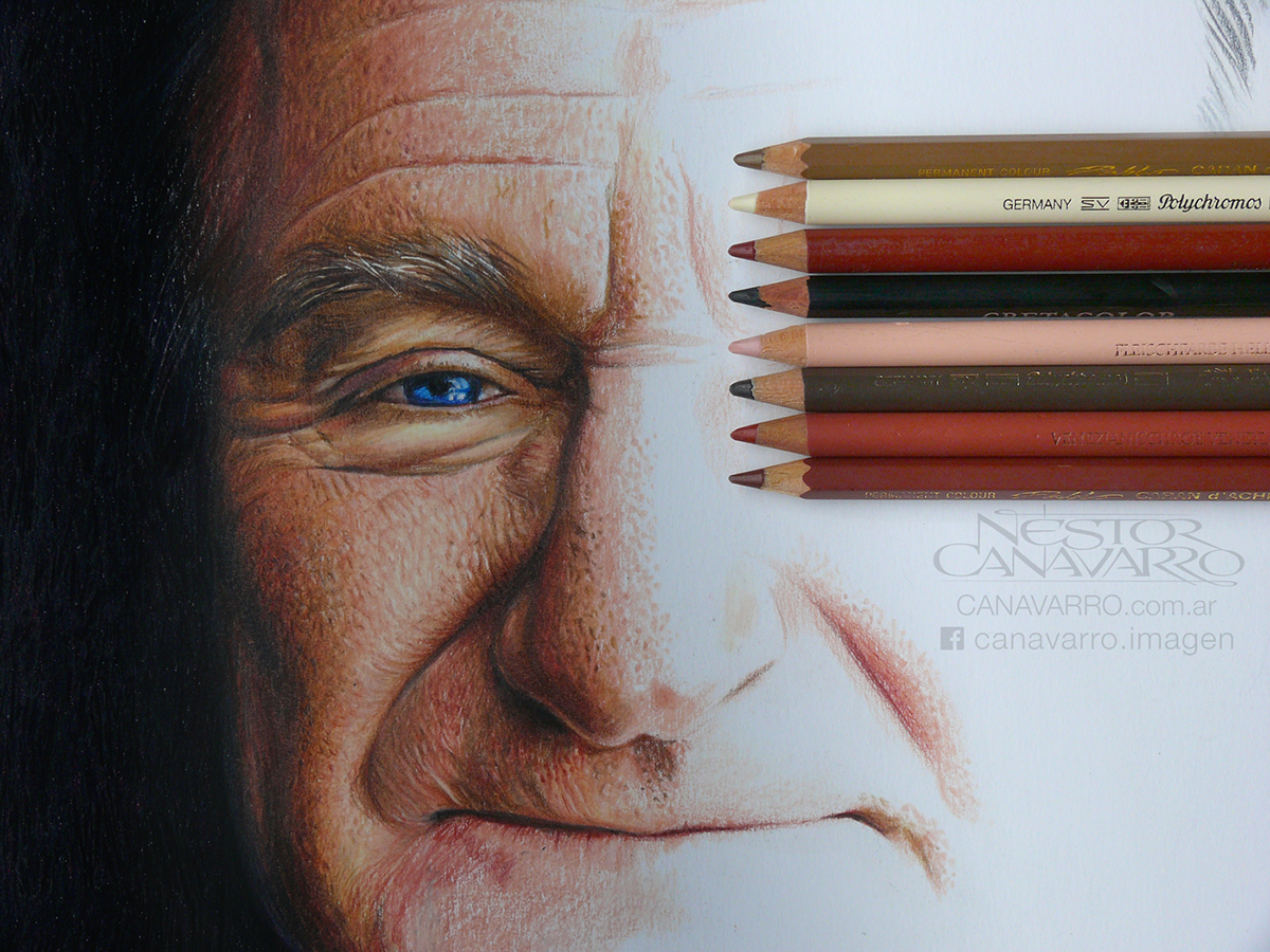 Robin williams colored pencils Color Pencils pencil Drawing  portrait ILLUSTRATION 