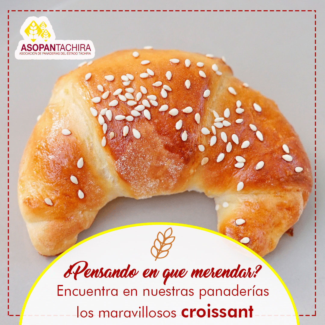 Diseños insitucion marca Pan Panaderías sancristobal Socialmedia tachira venezuela