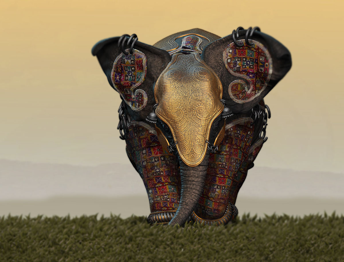 Adobe Portfolio ele elephant Baby Elephant cute elephant indian elephant Elephant in outfits Elephant cloths
