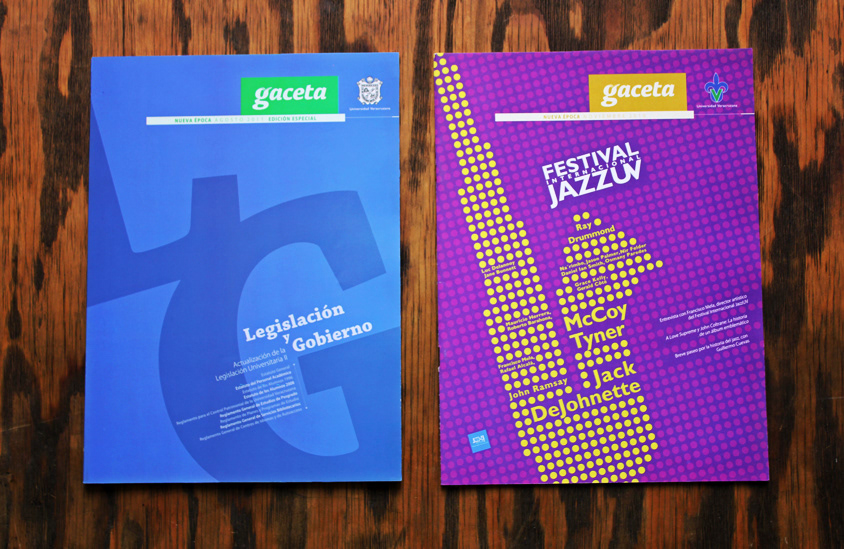 branding  editorial editorial design  gaceta system grids magazines  Revistas Iconos brand tipografia