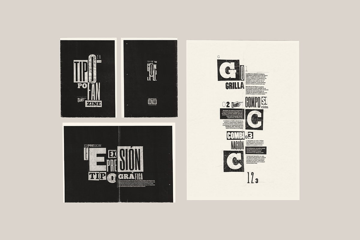 tipografia gonzalez fanzine Zine  typography  