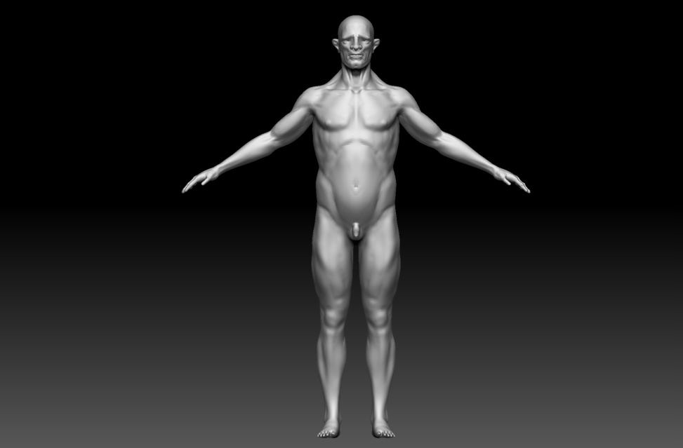 Zbrush anatomy 3D Character bust monster women