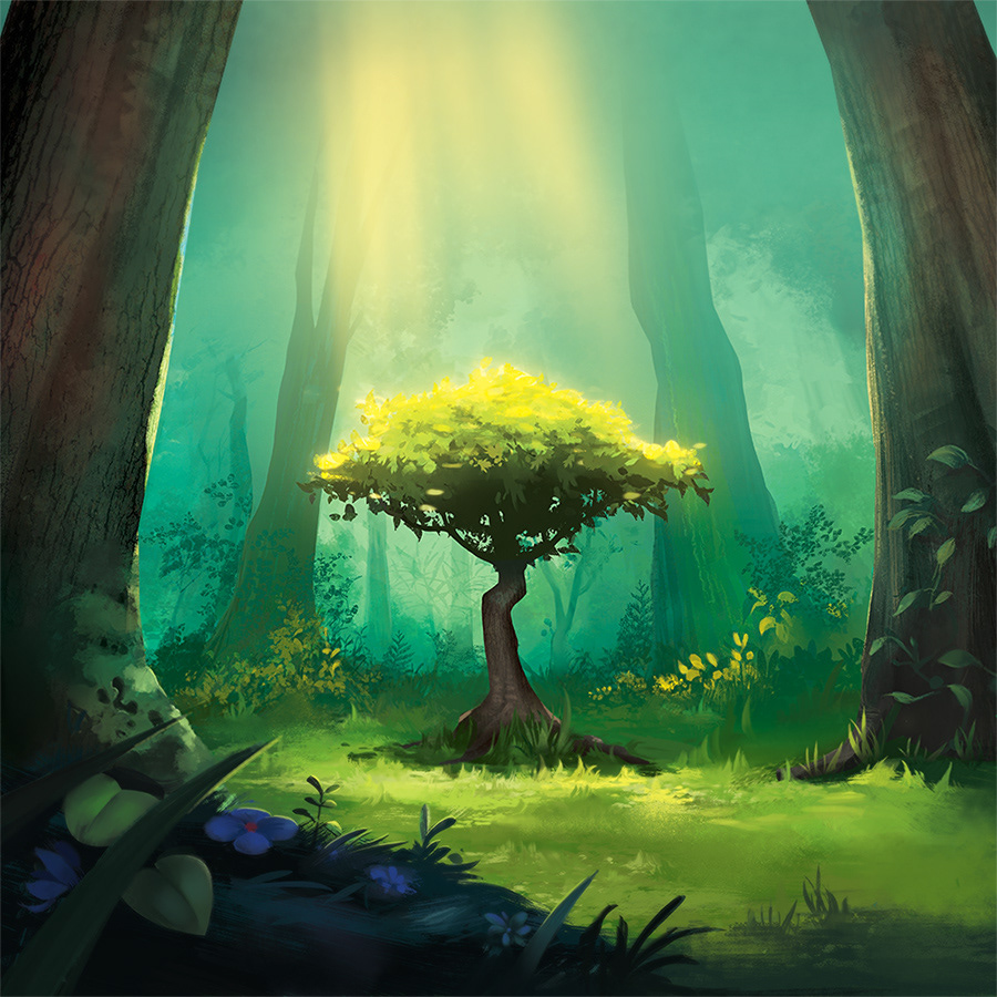 photosynthesis board game boardgame ILLUSTRATION  tabletop game