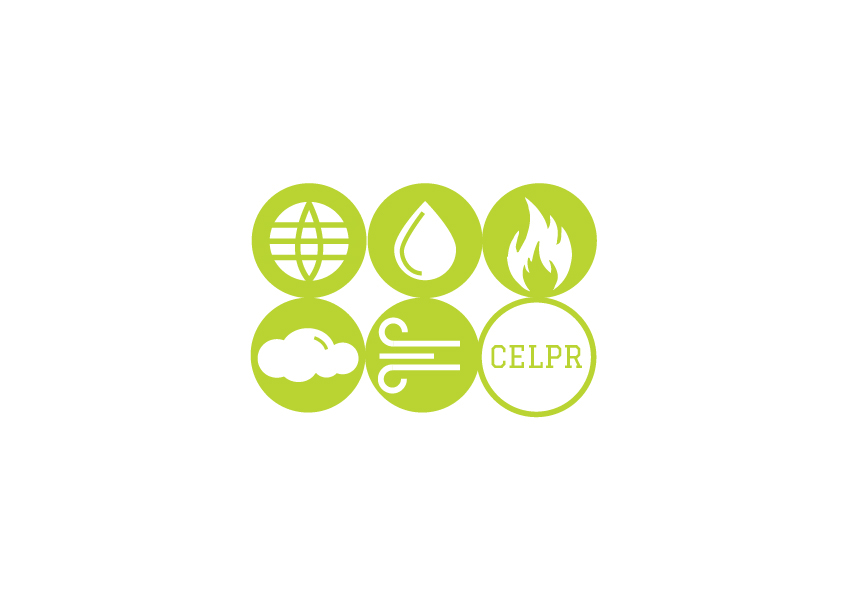 Logo Design branding  Nature Patterns Delhi univrsity   water Tree  earth wind
