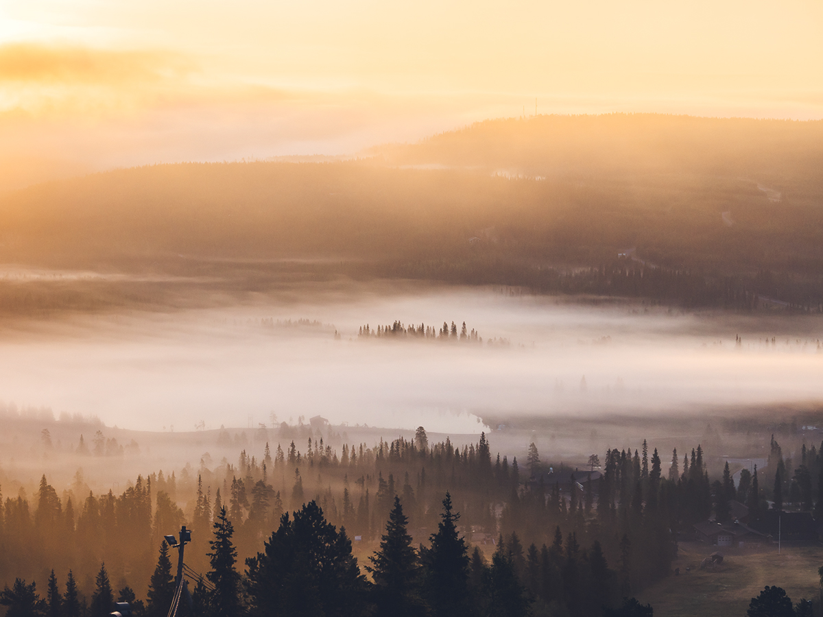 finland fog mist golden hour olympus Landscape Nature forest