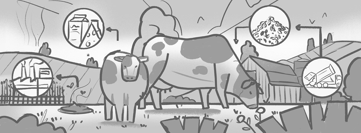Editorial Illustration time Time Magazine bucolic farm dairy farm hills Nature cow