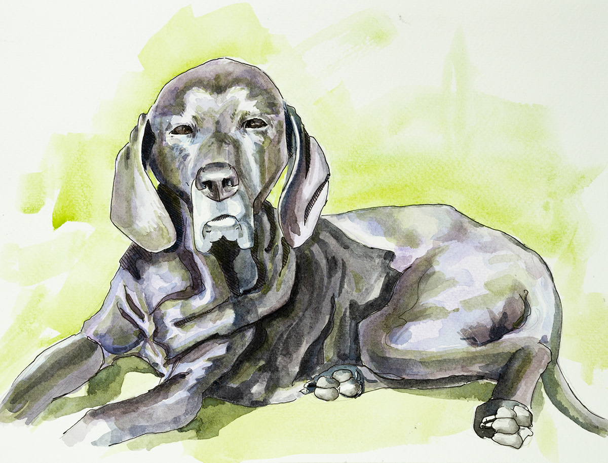 watercolor pets dogs cats commission