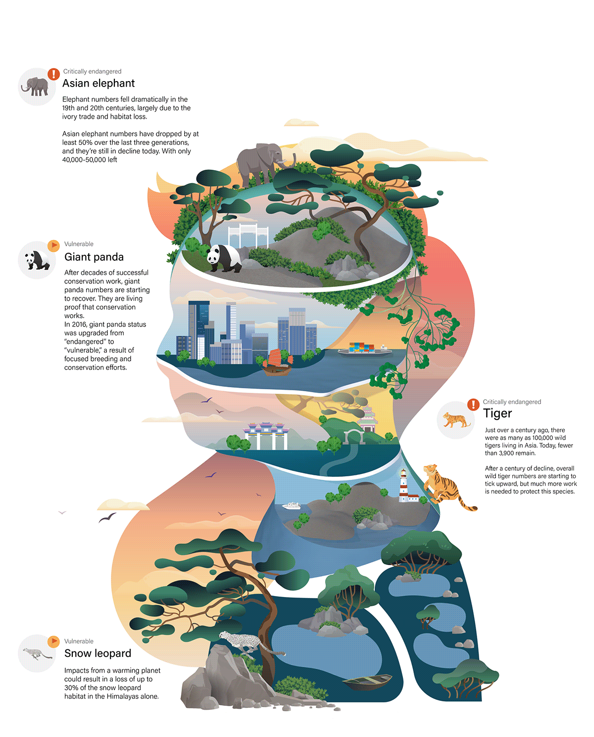 animal conservation educational human infographic wildlife chart map infographics information design