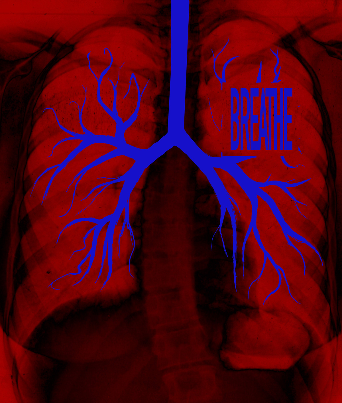 lungs ILLUSTRATION  Digital Art  Radiohead music Lyricbook