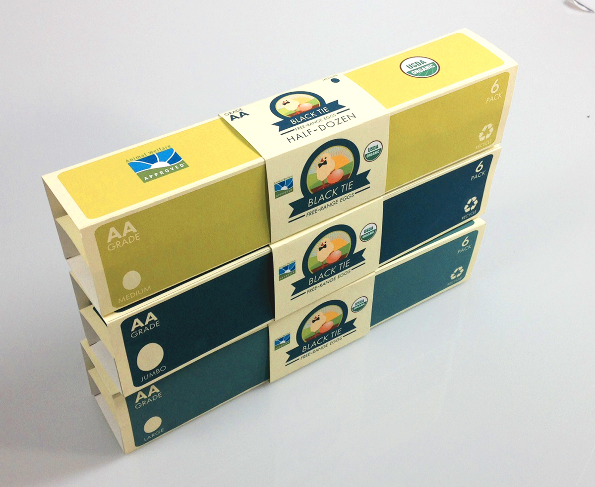 eggs carton creative package Innovative new organization Color Code