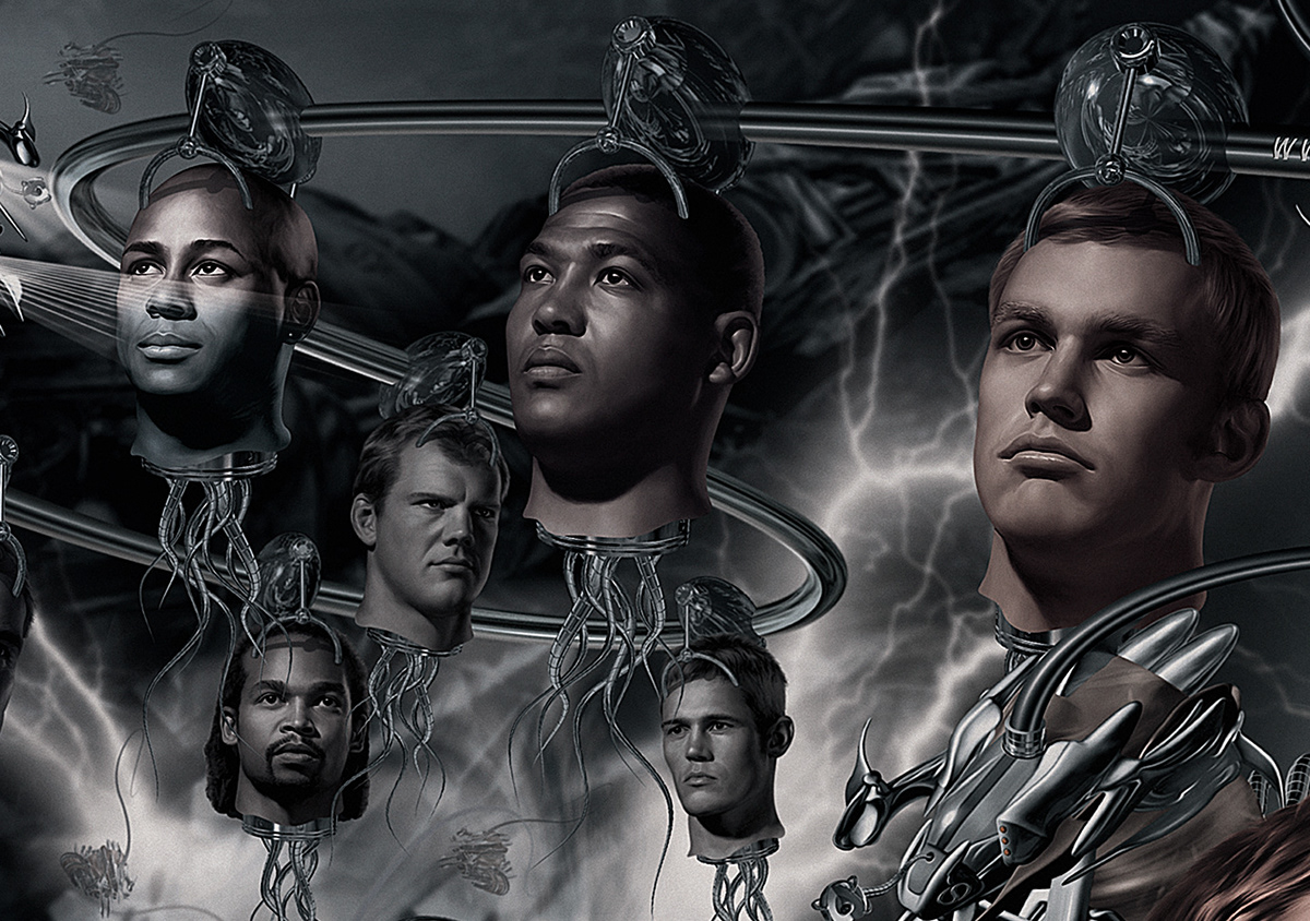 stormers Rugby terminator