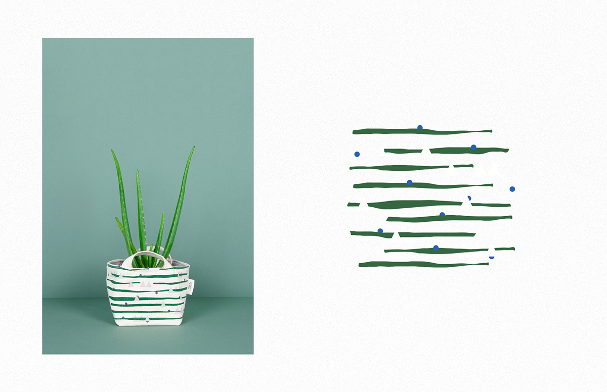 Plant ILLUSTRATION  Paris akrolab   design pattern abstract Collection