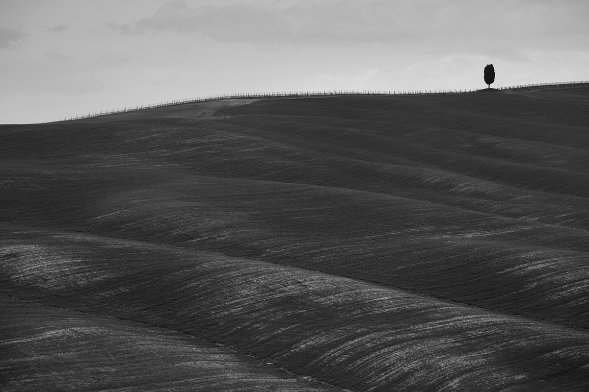 Tuscany hans findling Canon eos black White minimal Landscape Nature Cypress clouds