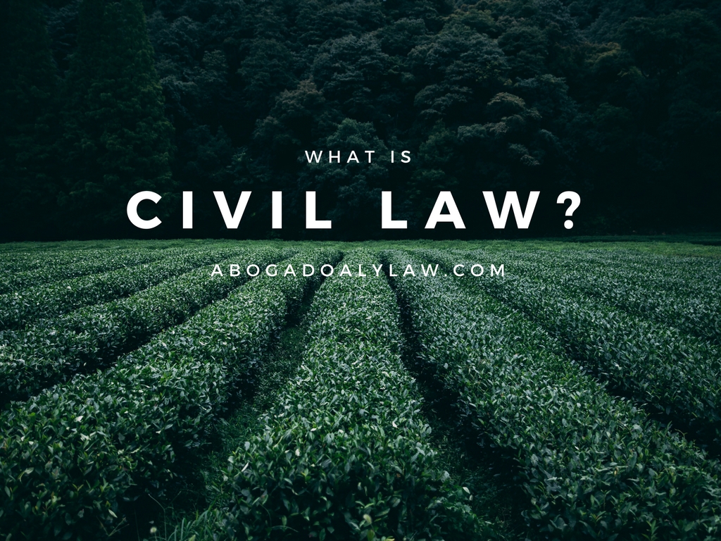 civil law immigration law abogado aly slideshow presentation