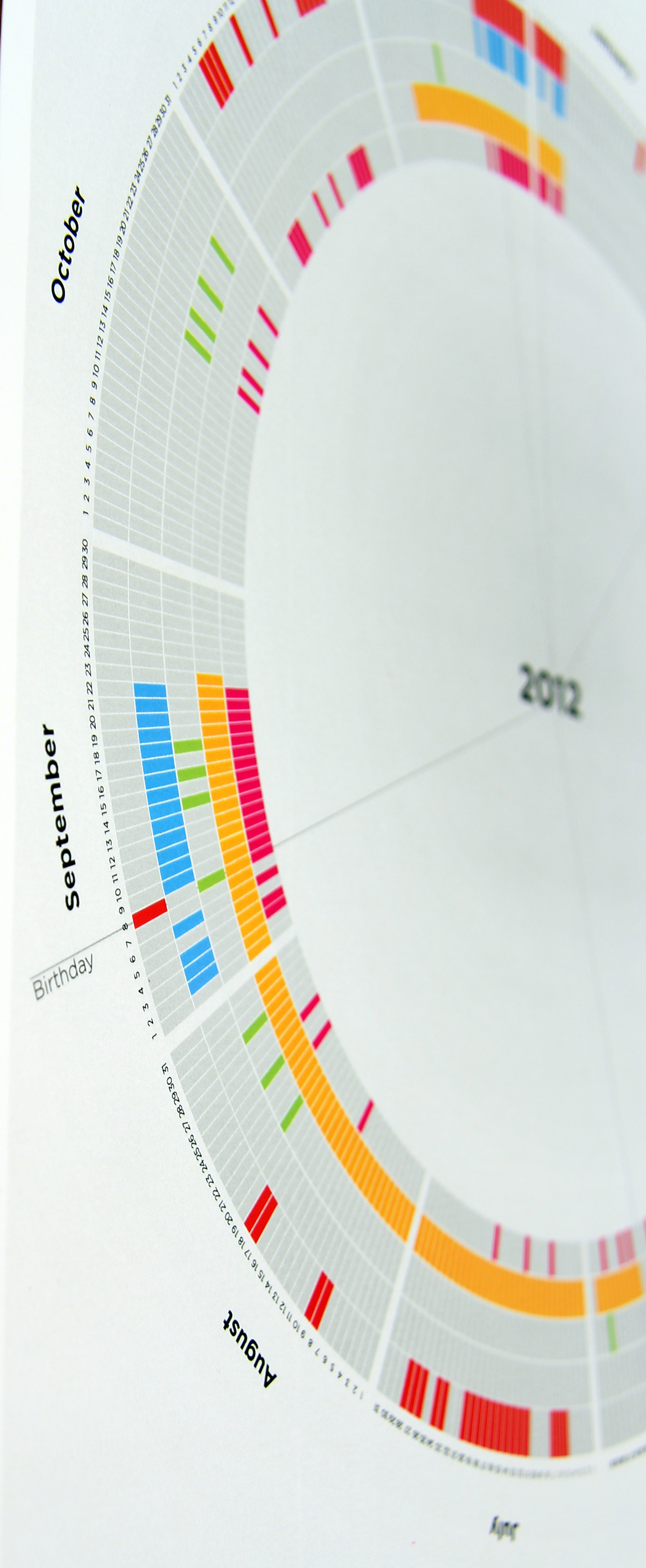 infographic data visualization calendar carlos palma LCC london college of communication personal Resume CV portfolio