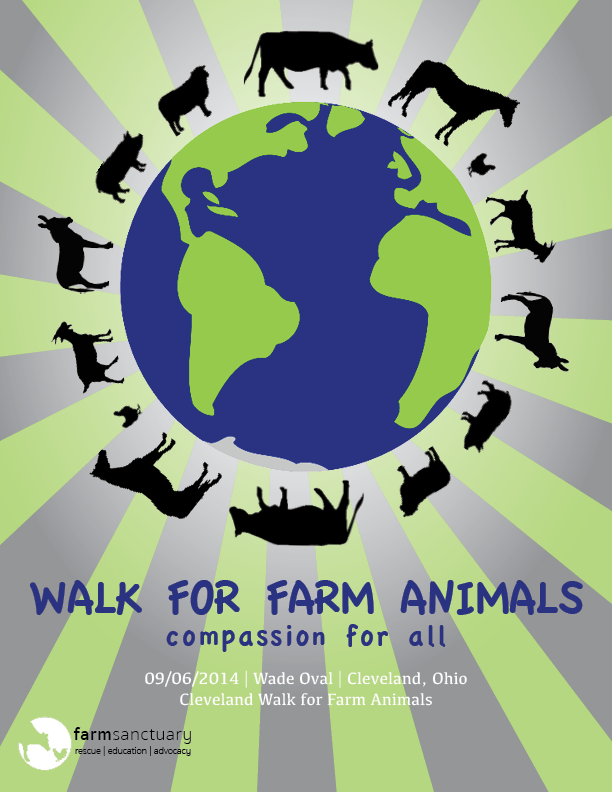 flyer non-profit farm animals InDesign