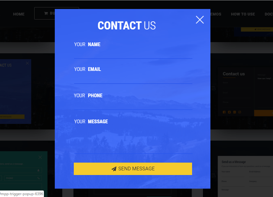 Contact Us Popup Form
