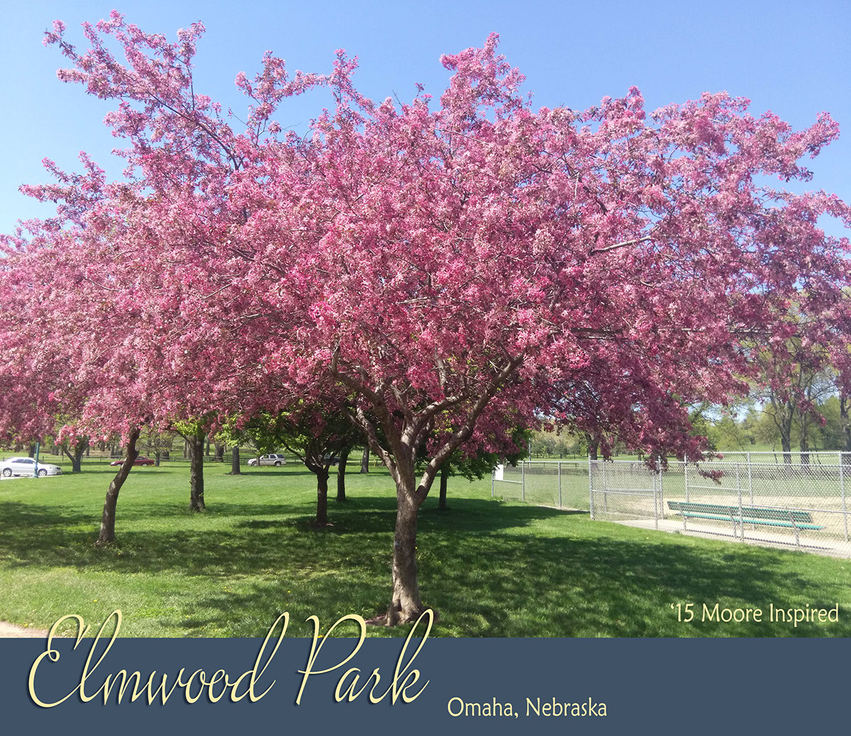 elmwood park Omaha Nebraska midtown city park picnic