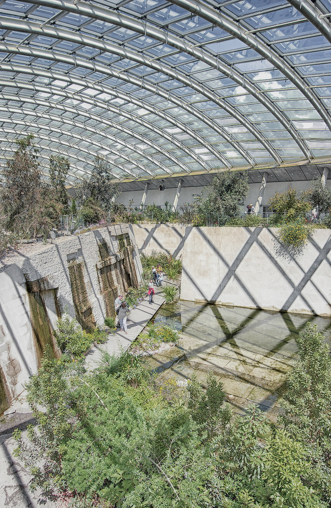 Foster + Partners National Botanic Garden of Wales The Great Glasshouse Phillip Roberts