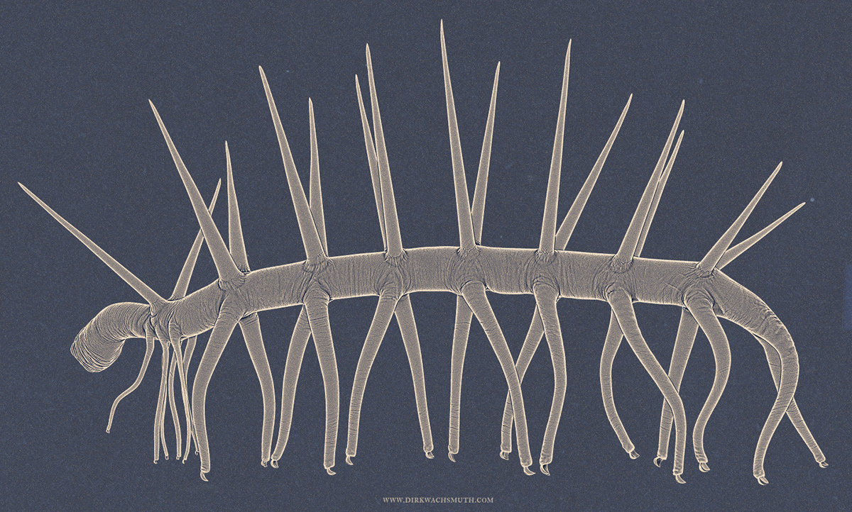 Fossil Euplectella aspergillum burgess shale cambrian paleo paleontologic biology hallucigenia Primordial reconstruction creature 3D visualisation scientific illustration