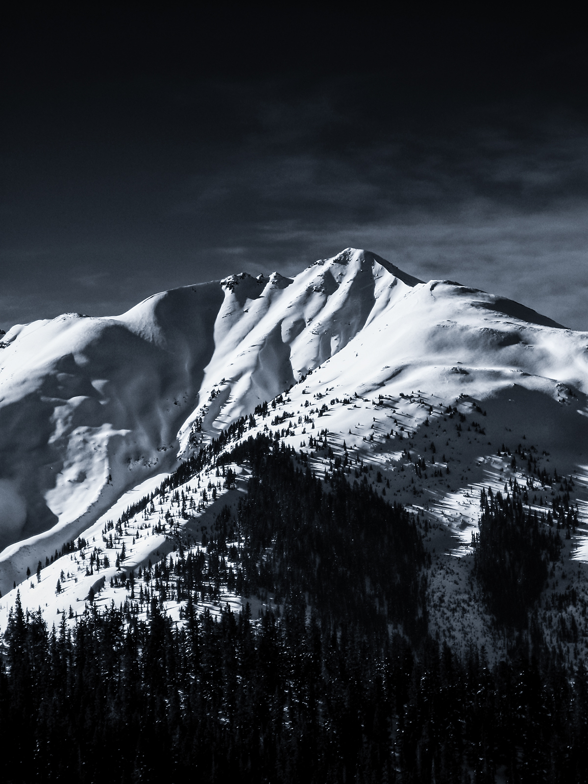 black and white Landscape black & white aspen Colorado snow winter Canada Banff mountains silver efex pro Nik Software snowmass scenic