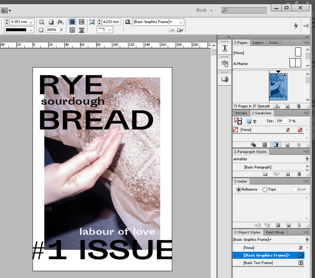 book design graphic design  bread